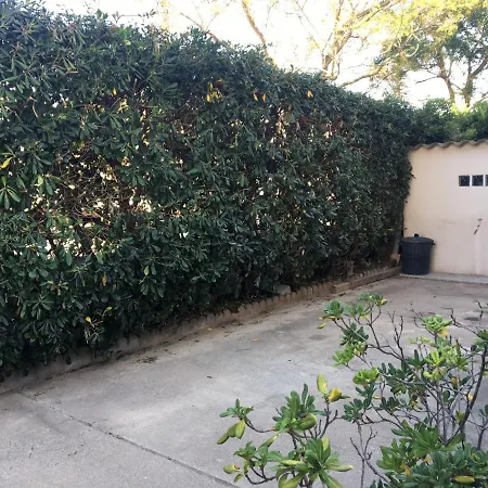 - Patio *